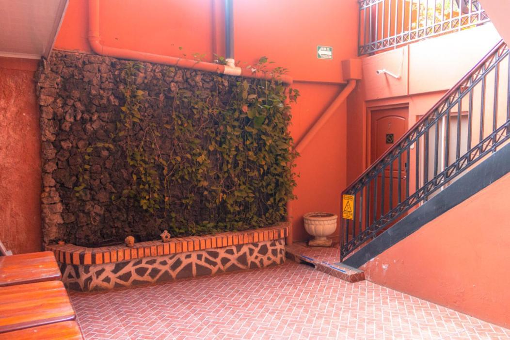 Ecotel ماناجوا المظهر الخارجي الصورة